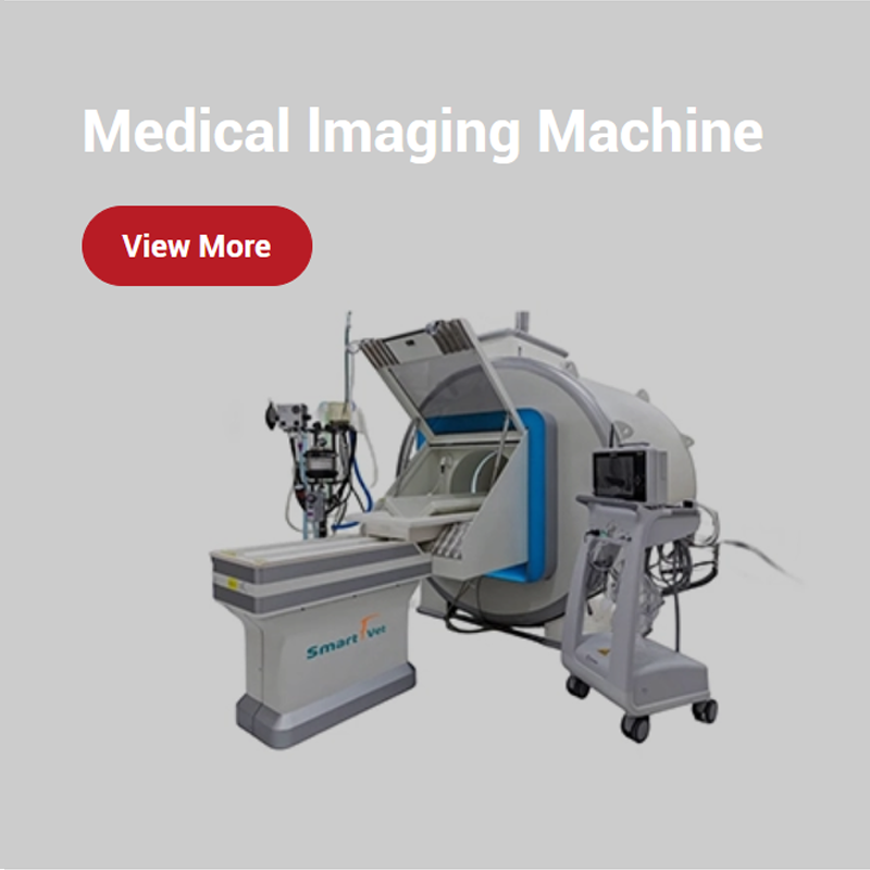 main title main title