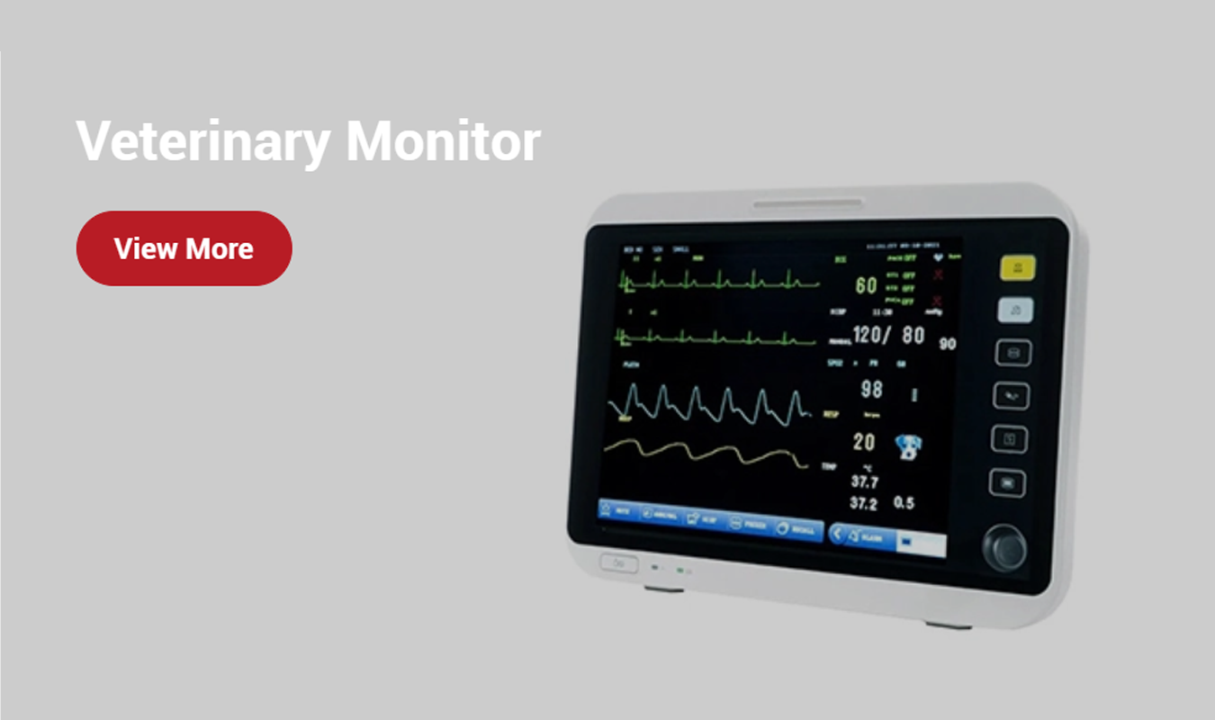 main title main title