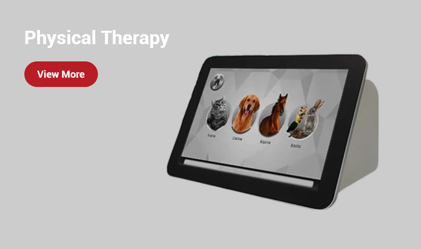 main title main title