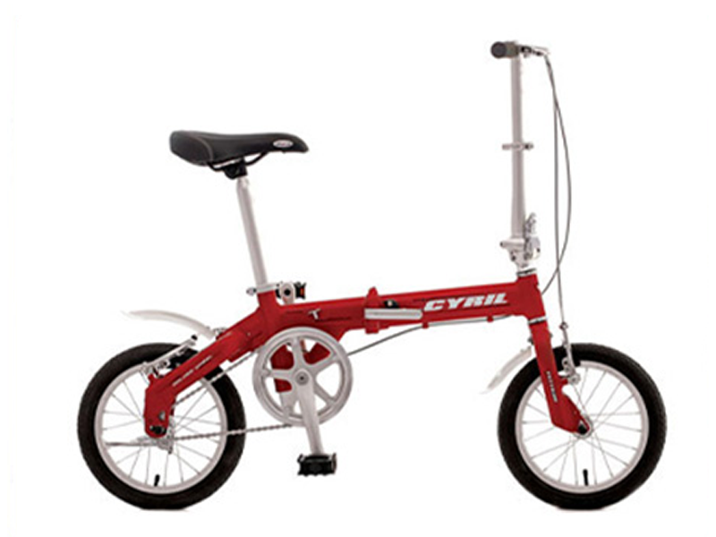 Folding Bike