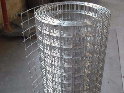 Galvanized Welded Wire Mesh