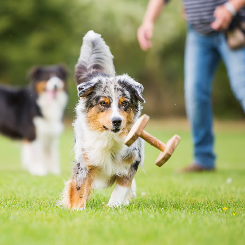 main title main title