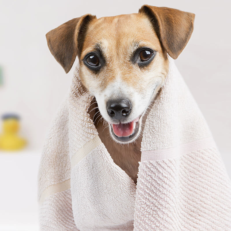 main title main title