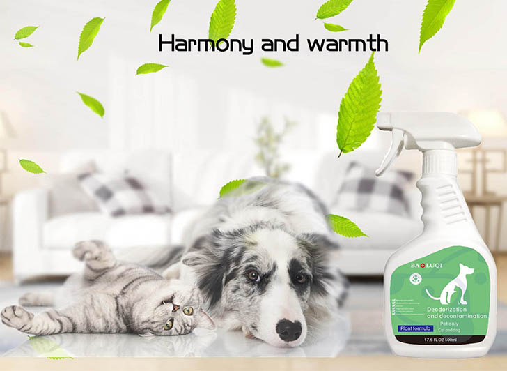 main title main title