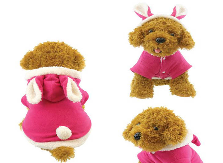 main title main title