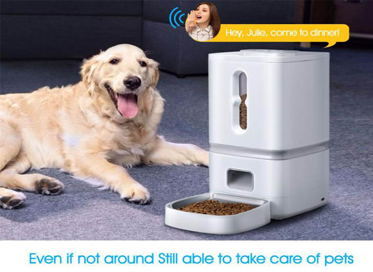 main title main title