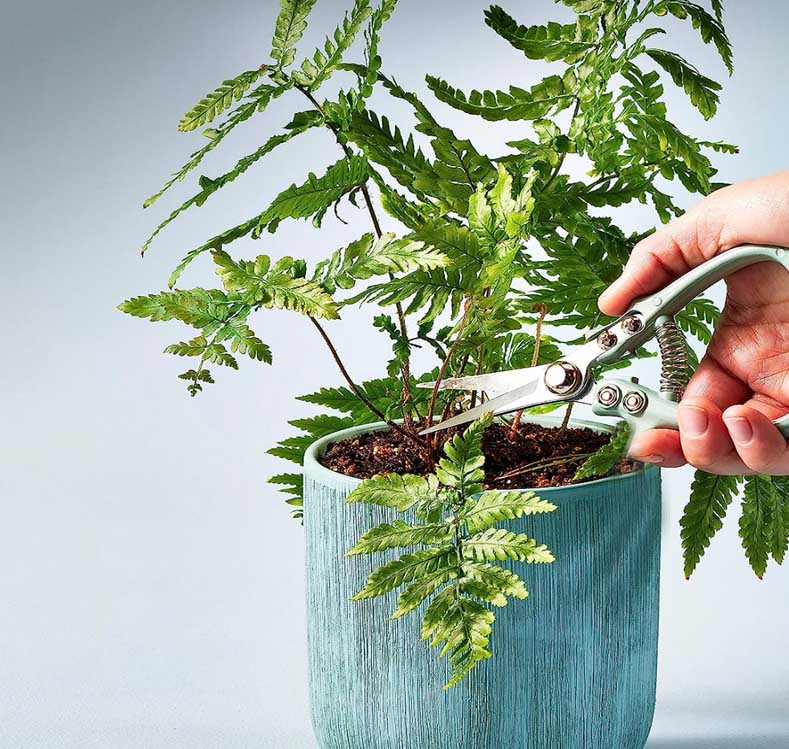 main title main title