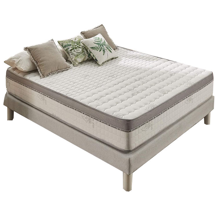 main title main title