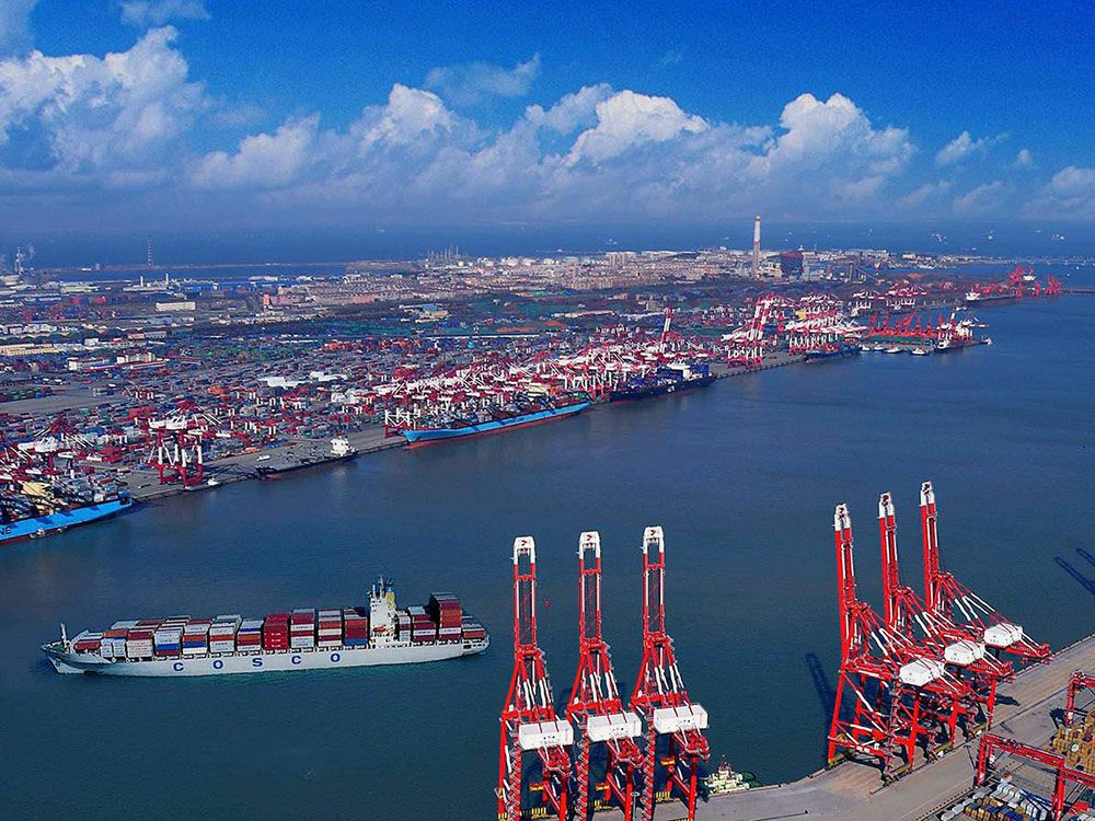 Ocean Freight Services