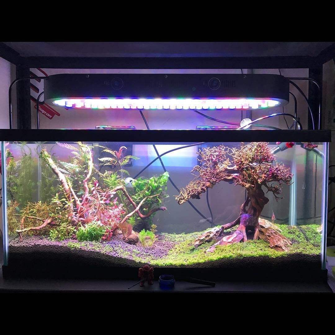 main title main title