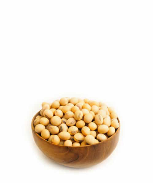 main title main title