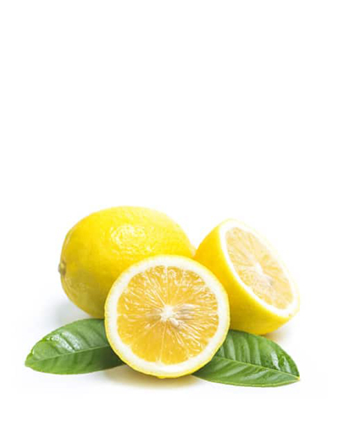 main title main title