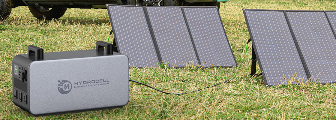 main title viwolf cms