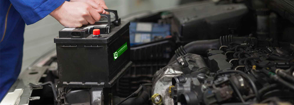 main title viwolf cms