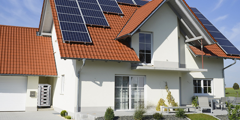 main title viwolf cms